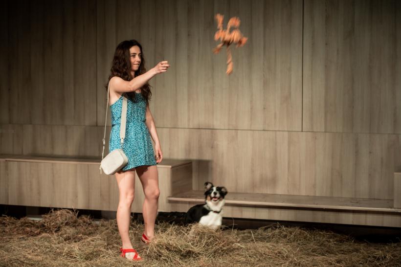 „Băiatul văduvă”, spectacol despre realitatea stigmatelor sociale, semnat de Eugen Jebeleanu, intră în repertoriul Teatrelli 18774241