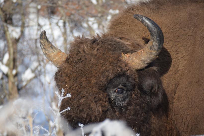 Moldova mai puțin cunoscută, cu minunile ei arhitecturale 18774706