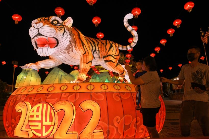 Zodiacul chinezesc 2022: Influența Tigrului de Apă asupra dragostei