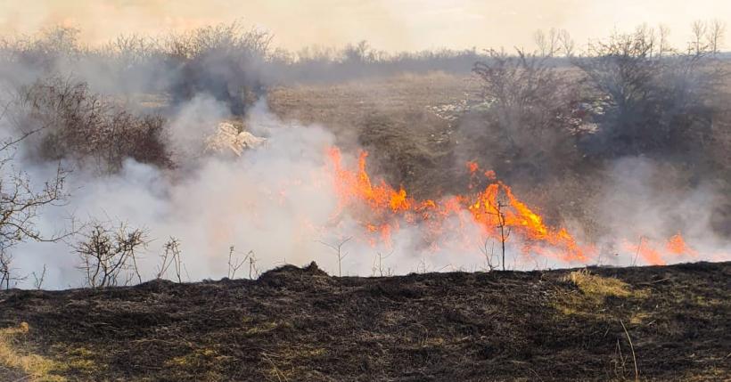 Pompierii, aduși la disperare de incendiatorii pădurilor 18774989