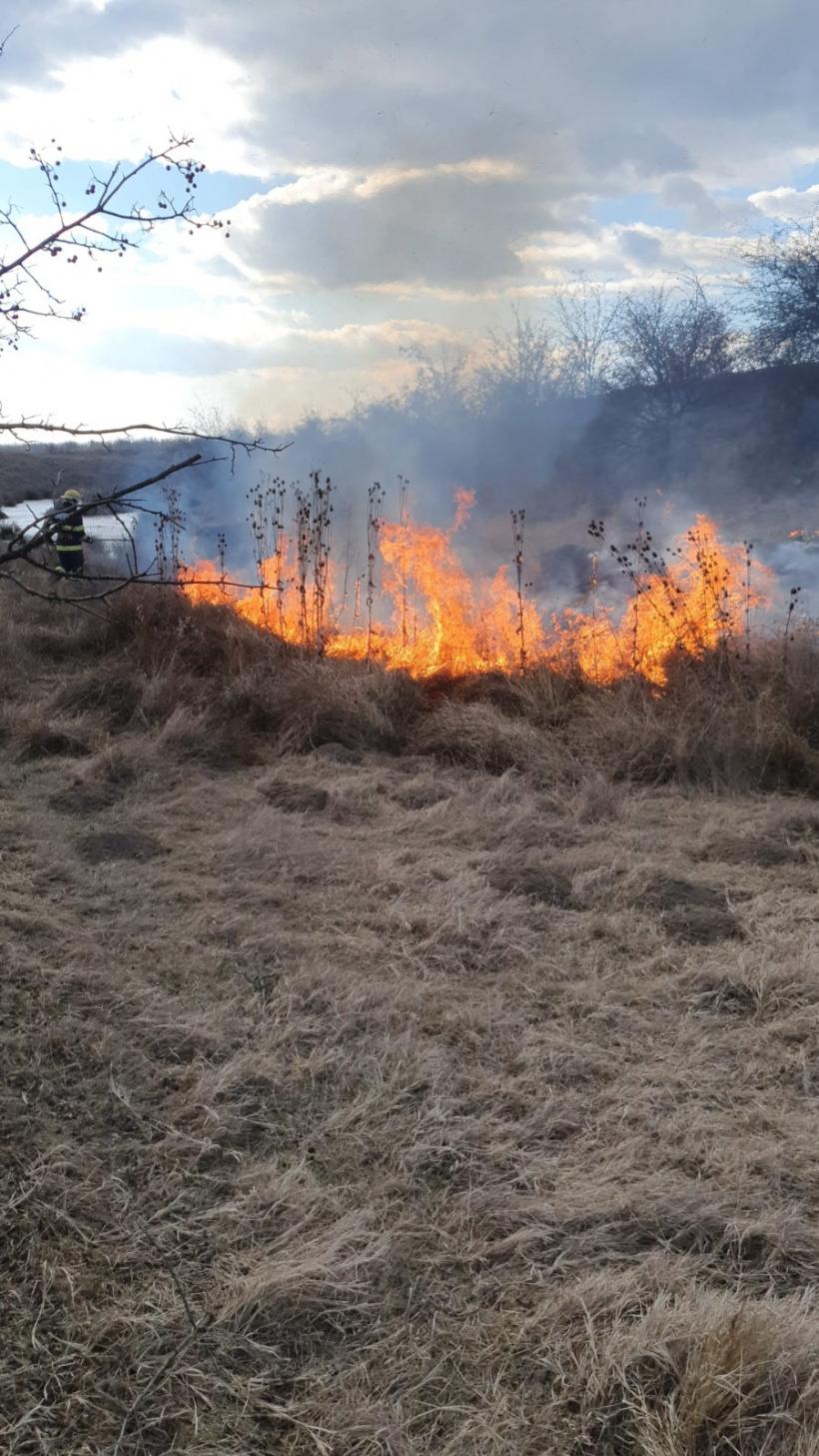 Pompierii, aduși la disperare de incendiatorii pădurilor 18774991