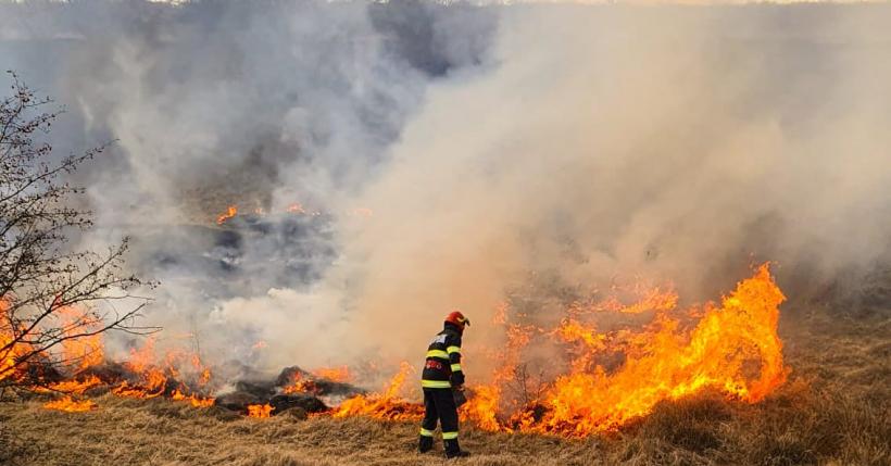 Pompierii, aduși la disperare de incendiatorii pădurilor 18774992