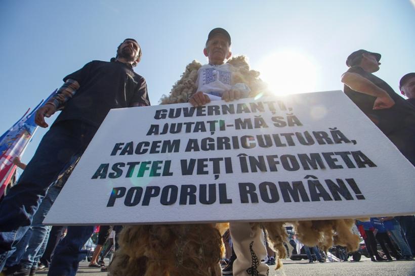 Noi proteste la Ministerul Agriculturii și Dezvoltării Rurale