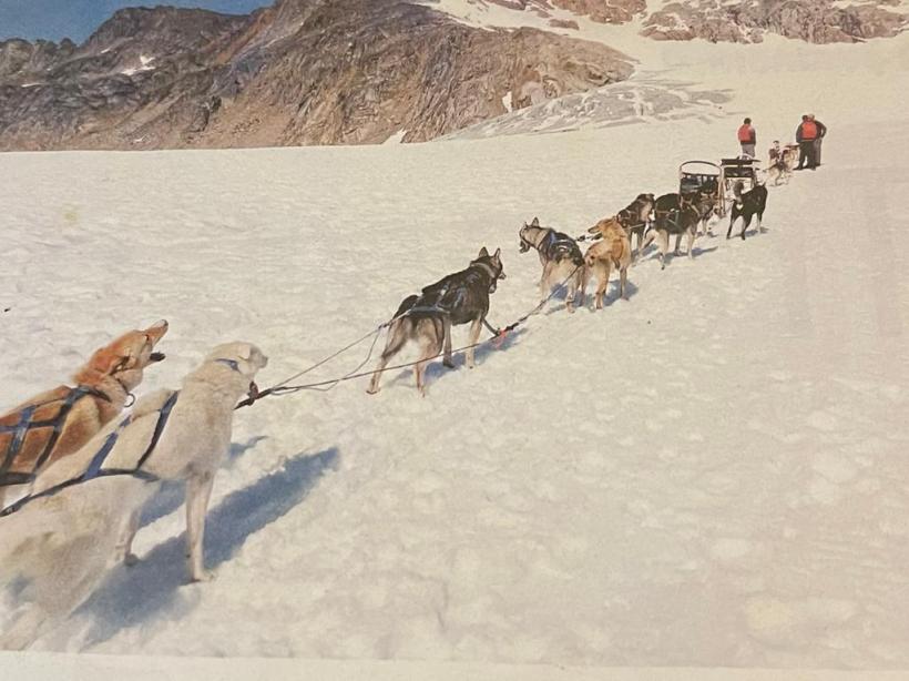 Căutându-l pe Fram, ursul polar 18775378