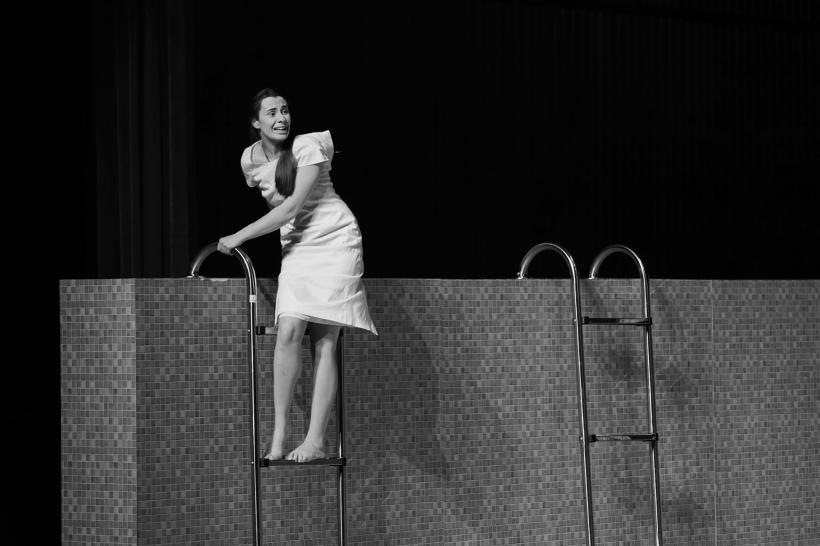 Premieră semnată Andriy Zholdak la Naționalul craiovean: FEMEIA MĂRII de Henrik Ibsen 18775526