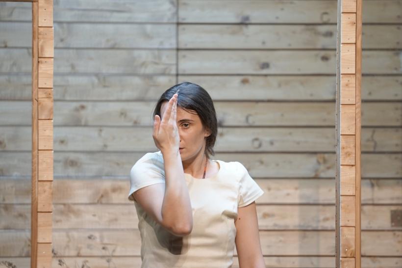 Premieră semnată Andriy Zholdak la Naționalul craiovean: FEMEIA MĂRII de Henrik Ibsen 18775527