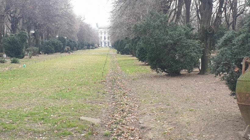 Războiul ciorilor în „Stalingradul” Cișmigiului 18775699