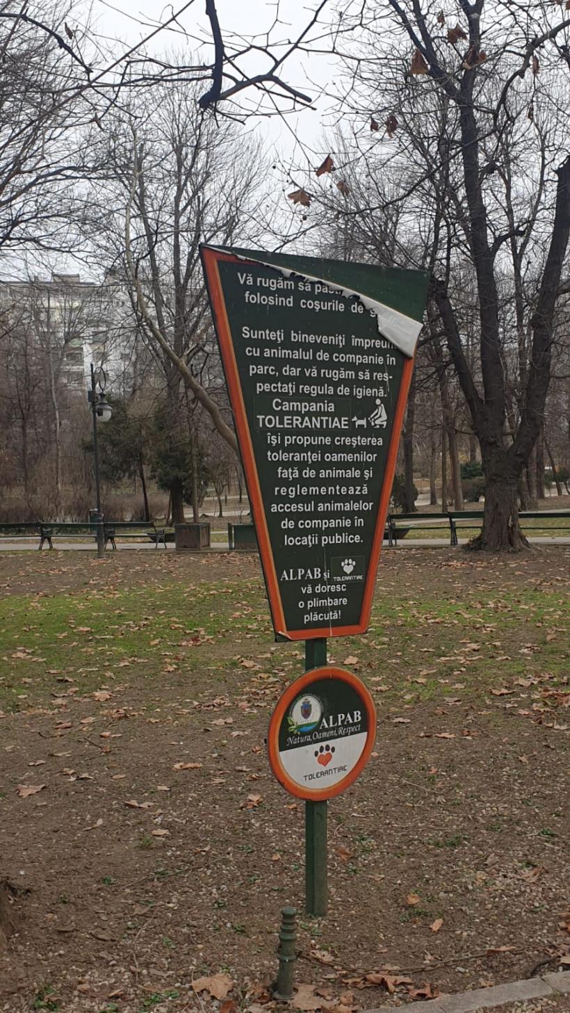 Războiul ciorilor în „Stalingradul” Cișmigiului 18775703