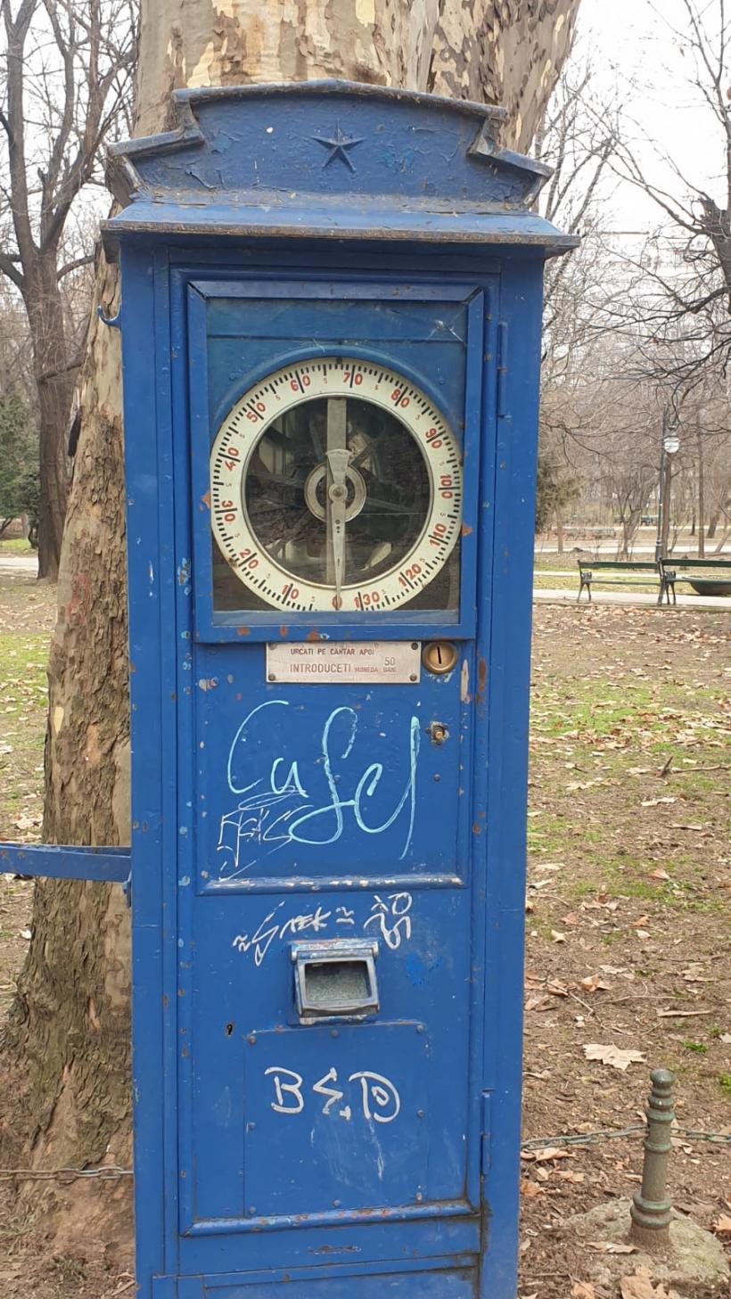 Războiul ciorilor în „Stalingradul” Cișmigiului 18775704