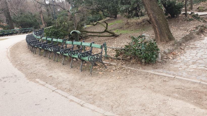 Războiul ciorilor în „Stalingradul” Cișmigiului 18775706