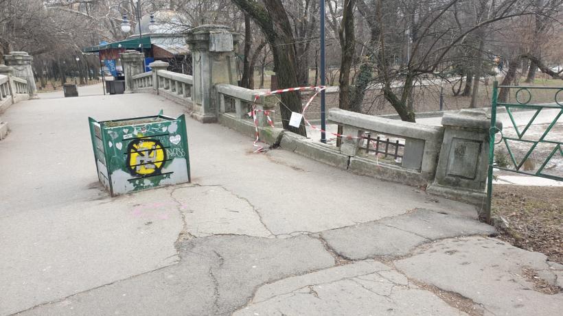 Războiul ciorilor în „Stalingradul” Cișmigiului 18775708