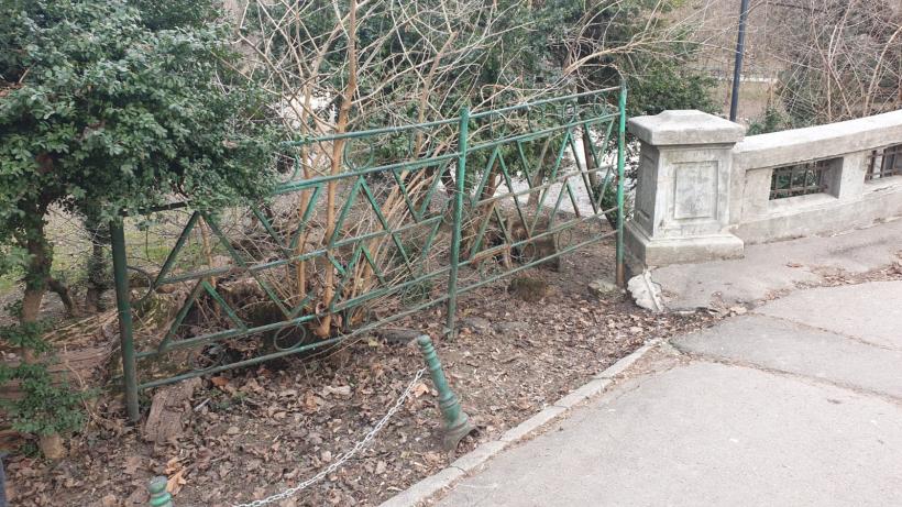 Războiul ciorilor în „Stalingradul” Cișmigiului 18775709