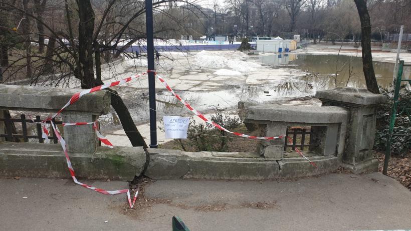 Războiul ciorilor în „Stalingradul” Cișmigiului 18775711