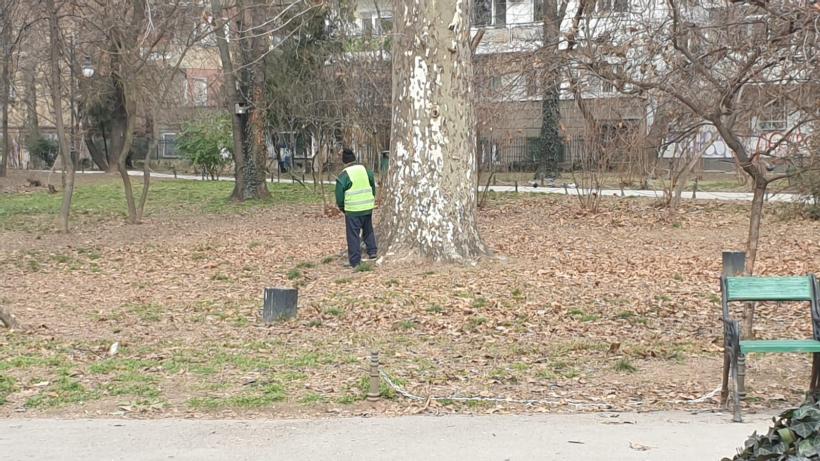 Războiul ciorilor în „Stalingradul” Cișmigiului 18775713