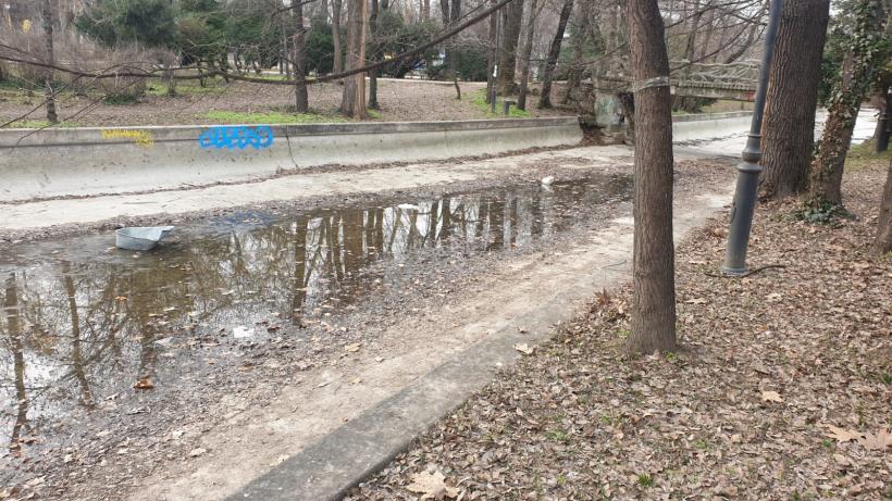 Războiul ciorilor în „Stalingradul” Cișmigiului 18775719