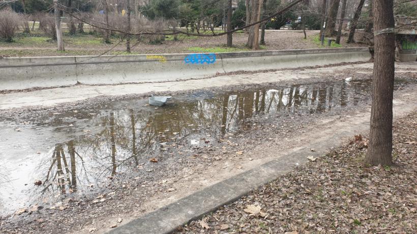 Războiul ciorilor în „Stalingradul” Cișmigiului 18775720