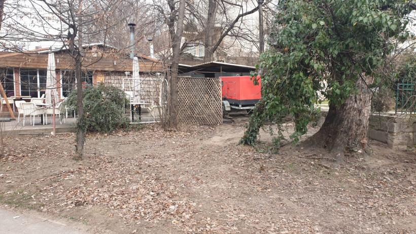 Războiul ciorilor în „Stalingradul” Cișmigiului 18775725