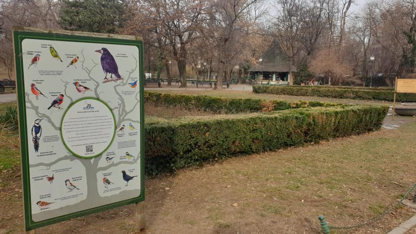 Războiul ciorilor în „Stalingradul” Cișmigiului 18775728