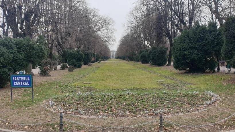 Războiul ciorilor în „Stalingradul” Cișmigiului 18775729