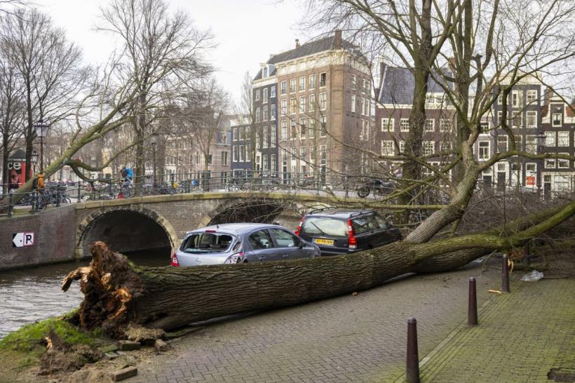 Furtuna Eunice face ravagii in Olanda. Cel puţin trei oameni au murit din cauza copacilor smulşi de vânt