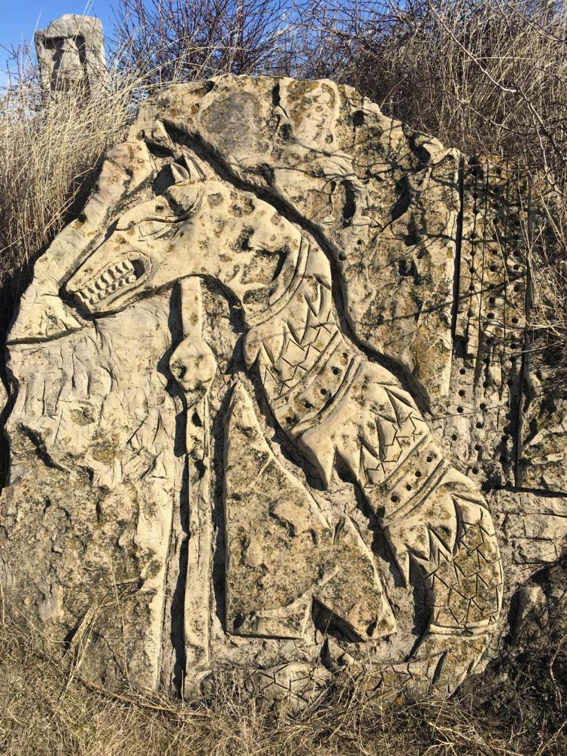 Satul dacic din carul cerului, Decheneus și pietrele vorbitoare 18777973