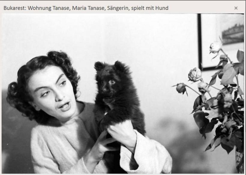 Maria Tănase, vocea nemuritoare a României 18778852