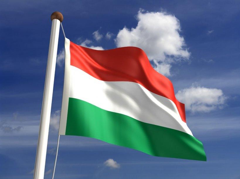 A fost aleasă prima femeie președinte al Ungariei