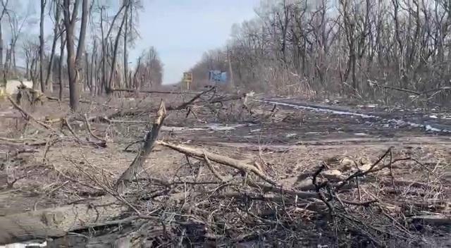 Tablou de război: un bocanc pe mijlocul străzii. Atât a mai rămas dintr-un om 18779945