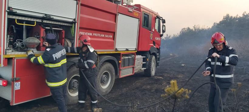 Incendiu de proporții la Buzău. Au ars zeci de hectare de pădure și vegetație