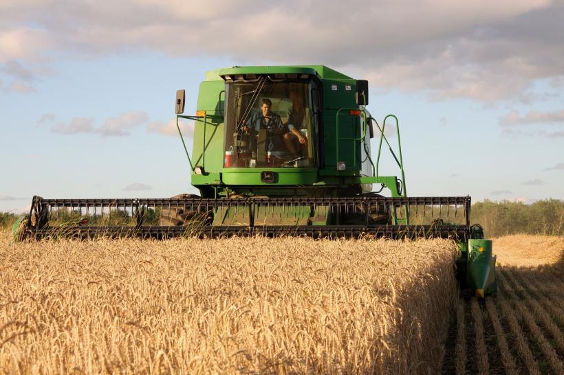 Ucraina a reînceput exporturile de cereale. Cum se realizează acestea