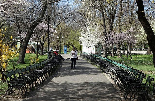 ANPC a controlat cele mai mari 3 parcuri din București, a închis 15 locuri de joacă