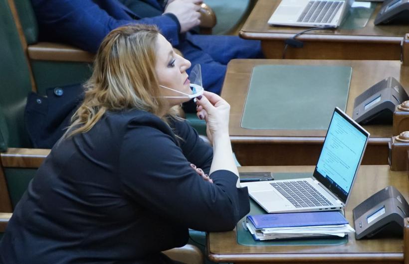 Diana Șoșoacă vrea instituirea pedepsei pe viață pentru subminarea economiei naționale