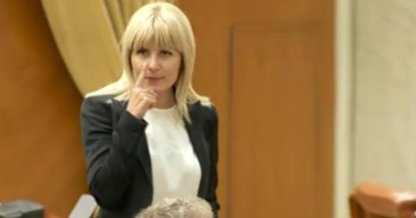 Adrian Cuculis: Autoritățile bulgare ar putea amâna extrădarea Elenei Udrea. Care este motivul