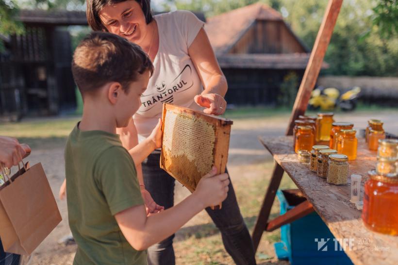 TIFF sustenabil: cum arată strategia de responsabilitate socială și de mediu a celui mai mare festival de film din țară 18784471