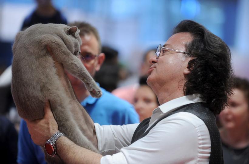 SofistiCAT 2022. Concursul celor mai frumoase pisici  18786077