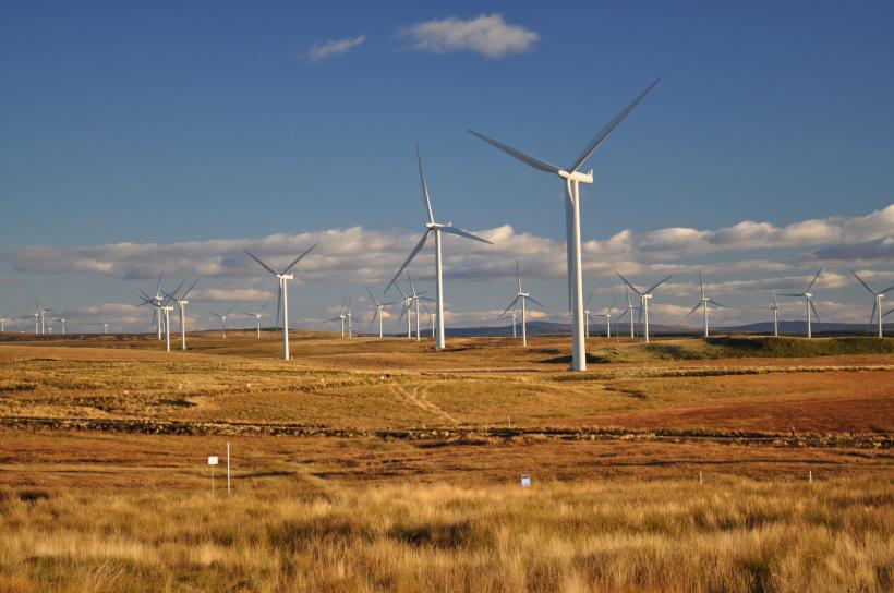 În timp ce Europa a instalat anul trecut capacități eoliene de 24,6 GW, România a bifat un mare zero