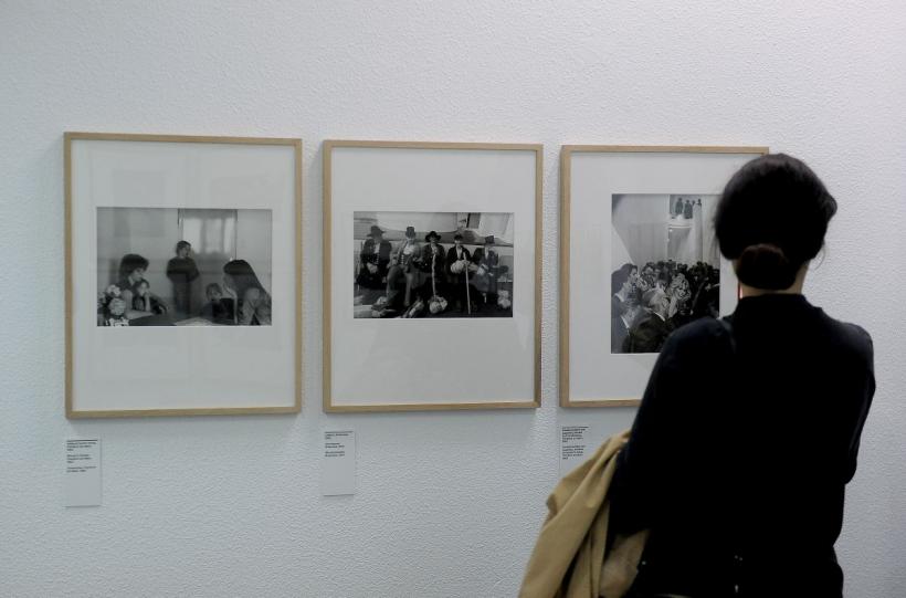 Art Safari își deschide public porțile joi, 12 mai! ​​​​​​​Artă în valoare de peste 14 milioane de euro, printre care Picasso și Dali 18786621