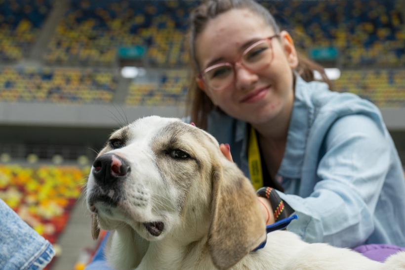 „Adoptă la Arenă!” Târg de adopții pentru pisici și câini la Arena Națională 18786983