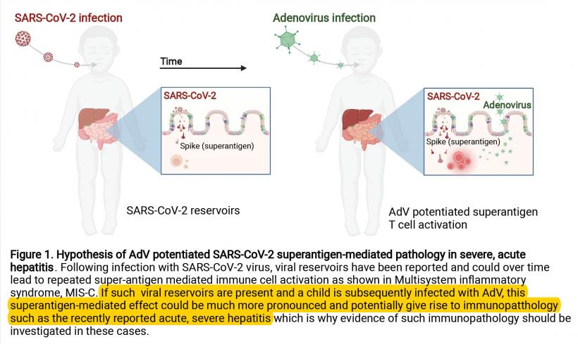 450 de copii confirmați cu hepatita misterioasă. Care este cauza evoluției galopante   18787140