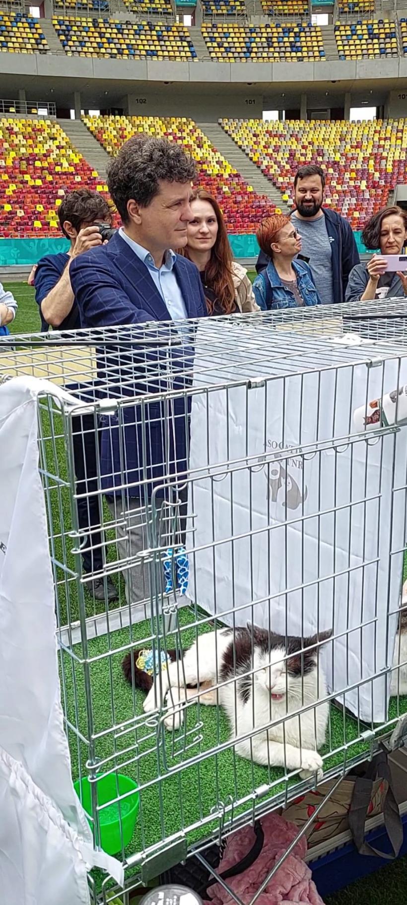 Nicușor Dan și „blatul” cu Rattus Norvegicus 18787152