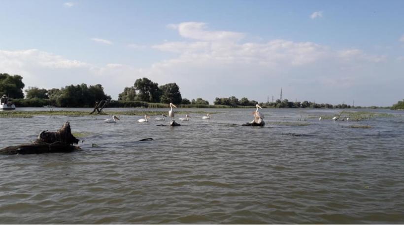 Cele mai frumoase evenimente se organizează în Delta Dunării    18787465