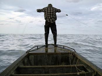 10 filme concurează pentru premiul secțiunii What’s Up, Doc?, acordat în premieră la TIFF 2022 18787980