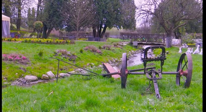 Palatul înflorit de la Avrig, un nou concept de promovare turistică 18788208