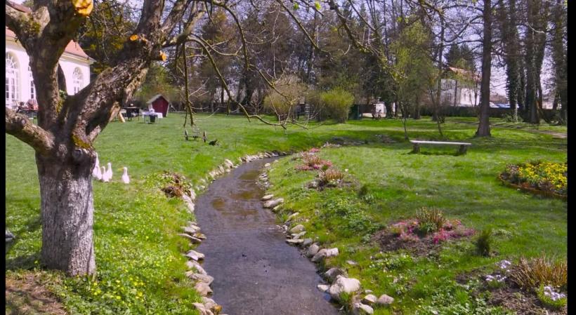 Palatul înflorit de la Avrig, un nou concept de promovare turistică 18788211