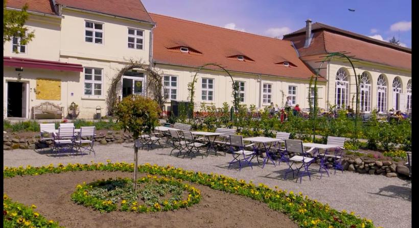 Palatul înflorit de la Avrig, un nou concept de promovare turistică 18788212