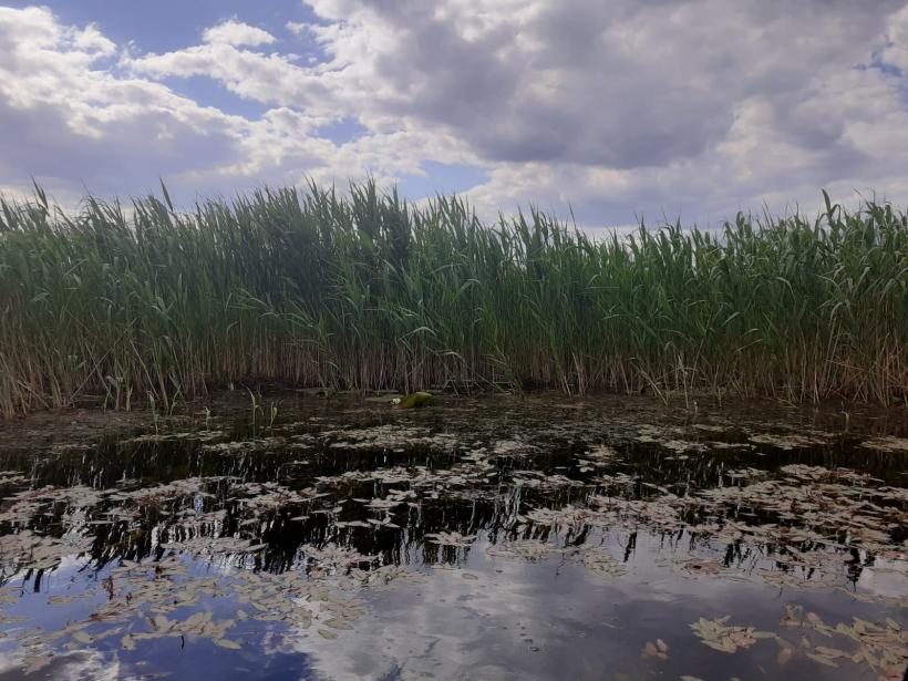 Delta nu e goală! Delta se transformă... Festivalul de fake news despre Delta Dunării continuă 18788362