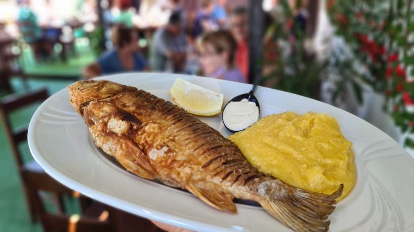 Delta nu e goală! Delta se transformă... Festivalul de fake news despre Delta Dunării continuă 18788367