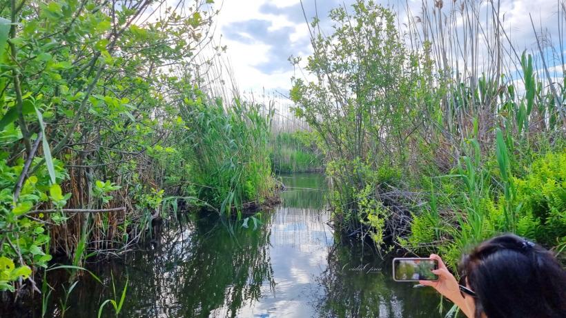 Delta nu e goală! Delta se transformă... Festivalul de fake news despre Delta Dunării continuă 18788369