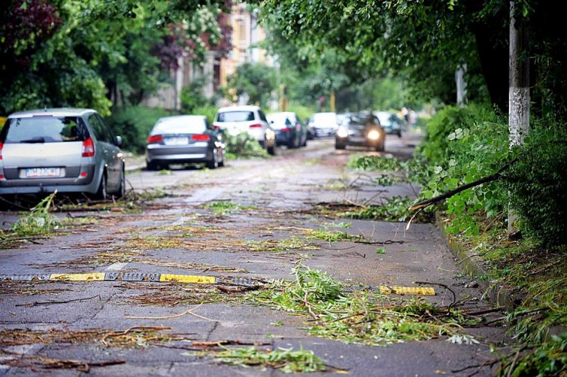 Furtună în Capitală. 29 de copaci au căzut și 19 mașini au fost avariate