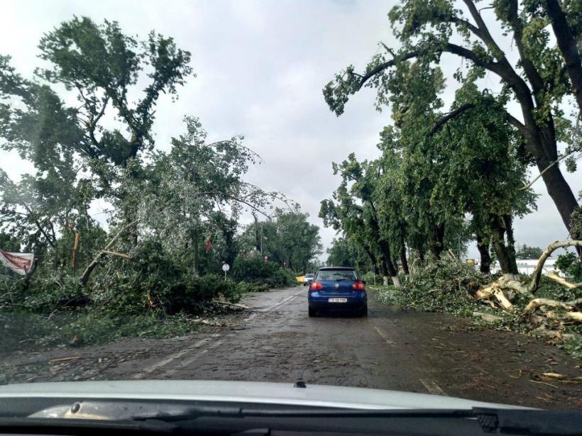 Furtuna a făcut ravagii în Teleorman. Zeci de copaci doborâţi de vânt, un TIR răsturnat şi mai multe acoperişuri avariate 